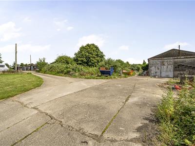 Picture 15